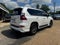 2019 Lexus GX GX 460